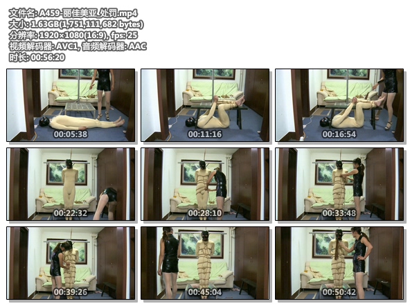 A459-丽佳美亚_处罚.jpg