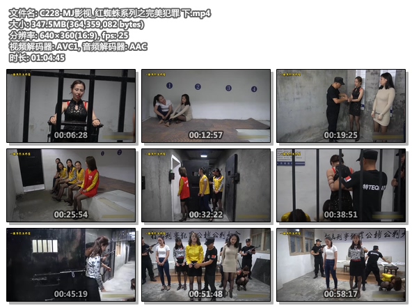 C228-MJ影视_红蜘蛛系列之完美犯罪 下.jpg