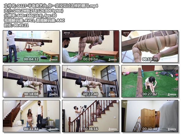 D227-半岛束艺台_你一定没见过这样的驷马.jpg