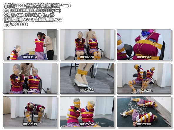 E023-得意客定制_空姐危情1.jpg